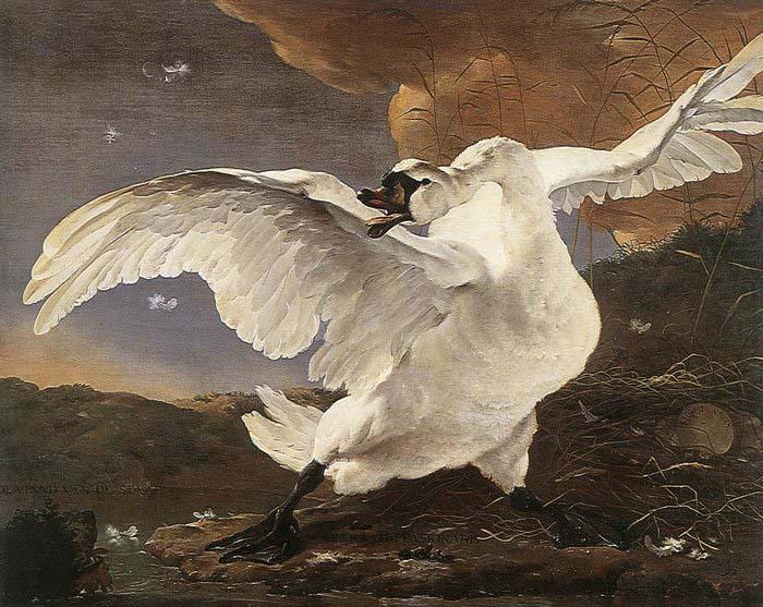 ASSELYN, Jan The Threatened Swan before 1652 china oil painting image